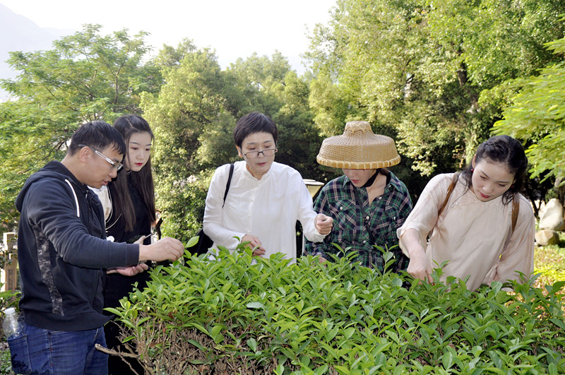 北京茶道培训  中国茶艺师培训分为两种